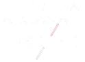 Logistica Aduanal 20 / 20